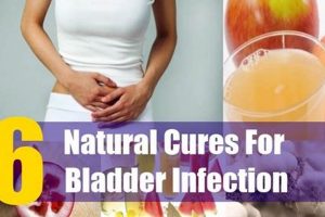 Natural Herbal Cure for Bladder Infection: Relief & Tips | The Ultimate Herbal Remedies Guide: Natural Healing for a Healthier Life