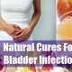 Natural Herbal Cure for Bladder Infection: Relief & Tips | The Ultimate Herbal Remedies Guide: Natural Healing for a Healthier Life