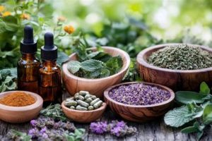 Your Guide to Herbal & Botanical Ingredients Distributor: Benefits & Uses | The Ultimate Herbal Remedies Guide: Natural Healing for a Healthier Life
