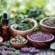 Your Guide to Herbal & Botanical Ingredients Distributor: Benefits & Uses | The Ultimate Herbal Remedies Guide: Natural Healing for a Healthier Life