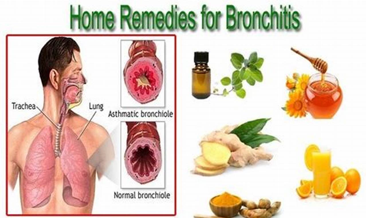 Best Herbal Bronchitis Remedy: Quick Relief Tips! | The Ultimate Herbal Remedies Guide: Natural Healing for a Healthier Life