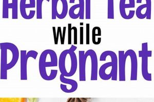 Pregnancy Tea: What Herbal Teas Are Safe While Pregnant? Guide | The Ultimate Herbal Remedies Guide: Natural Healing for a Healthier Life