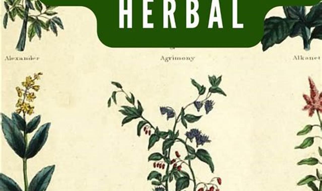 Ultimate The Complete Herbal: Uses & Benefits | The Ultimate Herbal Remedies Guide: Natural Healing for a Healthier Life