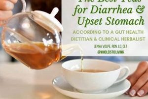 Quick Relief: Best Herbal Tea for Diarrhea + Recipes | The Ultimate Herbal Remedies Guide: Natural Healing for a Healthier Life
