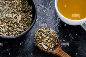 Find the Best Herbal Tea Nearby For You Today! | The Ultimate Herbal Remedies Guide: Natural Healing for a Healthier Life