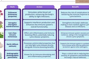 Natural Herbal Treatment for Lyme Disease: What Works? | The Ultimate Herbal Remedies Guide: Natural Healing for a Healthier Life