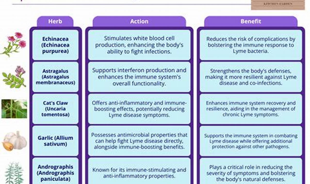 Natural Herbal Treatment for Lyme Disease: What Works? | The Ultimate Herbal Remedies Guide: Natural Healing for a Healthier Life