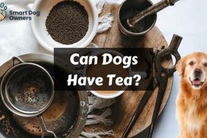 Safe Brews? Can Dogs Have Herbal Tea? + Guide | The Ultimate Herbal Remedies Guide: Natural Healing for a Healthier Life