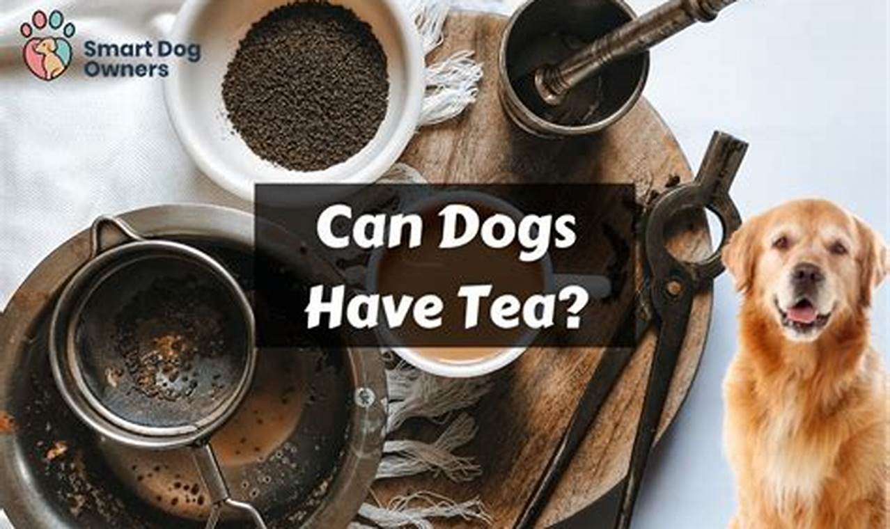 Safe Brews? Can Dogs Have Herbal Tea? + Guide | The Ultimate Herbal Remedies Guide: Natural Healing for a Healthier Life