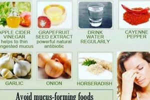 Fast Herbal Remedy for Sinus Congestion Relief | The Ultimate Herbal Remedies Guide: Natural Healing for a Healthier Life