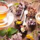 Best Way to Sip Herbal Teas | Herbals & Relaxation | The Ultimate Herbal Remedies Guide: Natural Healing for a Healthier Life