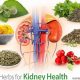 Discover: Best Herbals for Kidney Health & Support | The Ultimate Herbal Remedies Guide: Natural Healing for a Healthier Life