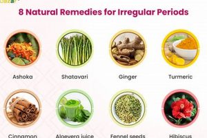 Natural Period Herbal Remedies: Relief + Support | The Ultimate Herbal Remedies Guide: Natural Healing for a Healthier Life