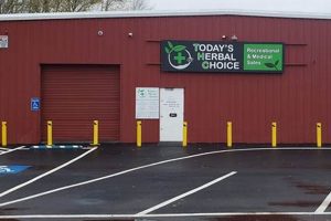 Discover Today's Herbal Choice Milwaukie: Fresh Herbs & More The Ultimate Herbal Remedies Guide: Natural Healing for a Healthier Life Discover Today's Herbal Choice Milwaukie: Fresh Herbs & More | The Ultimate Herbal Remedies Guide: Natural Healing for a Healthier Life