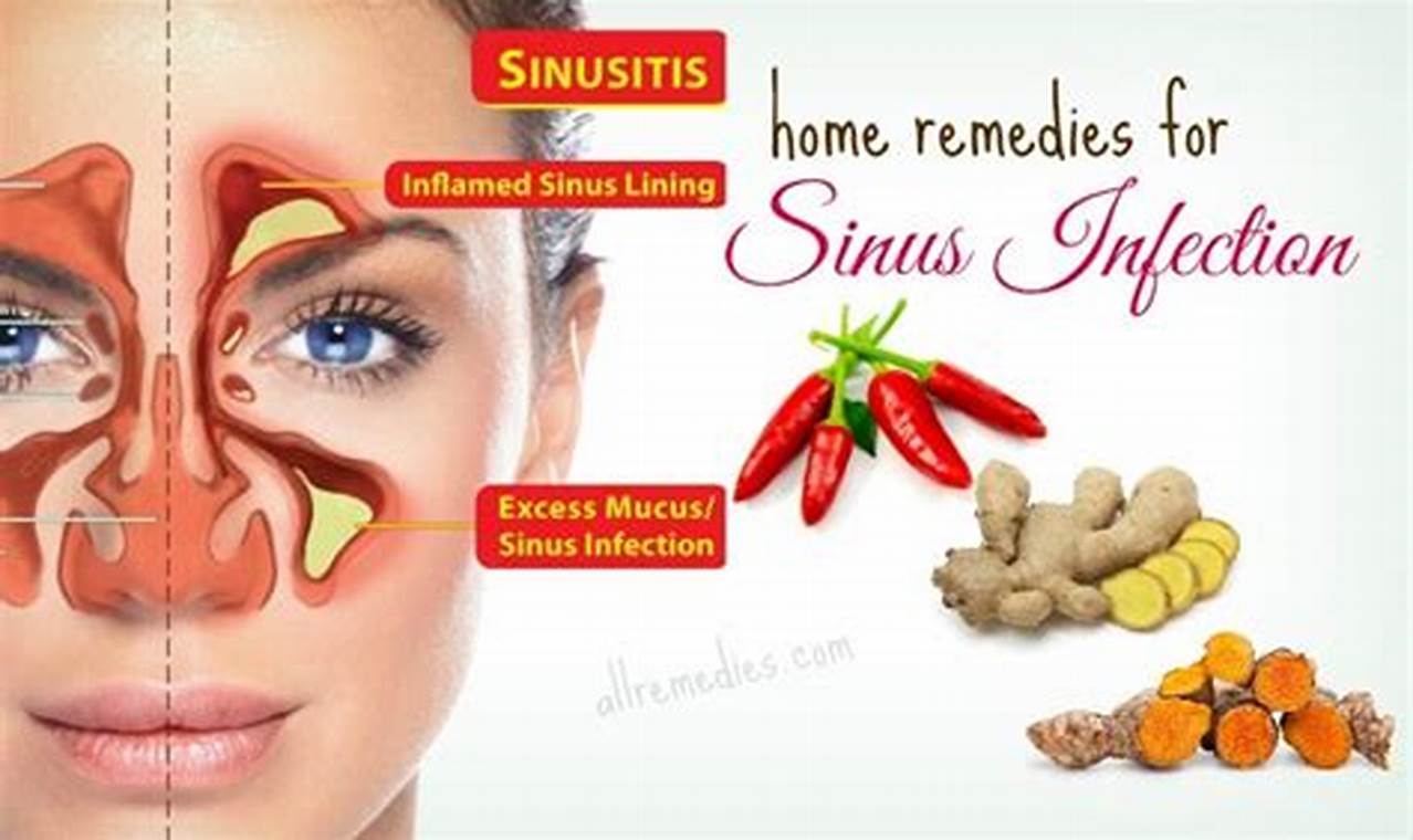 Natural Herbal Sinus Infection Remedies That Work | The Ultimate Herbal Remedies Guide: Natural Healing for a Healthier Life