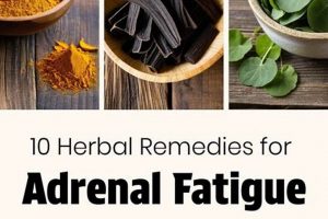 Natural Herbal Remedies for Fatigue: Boost Your Energy! The Ultimate Herbal Remedies Guide: Natural Healing for a Healthier Life Natural Herbal Remedies for Fatigue: Boost Your Energy! | The Ultimate Herbal Remedies Guide: Natural Healing for a Healthier Life
