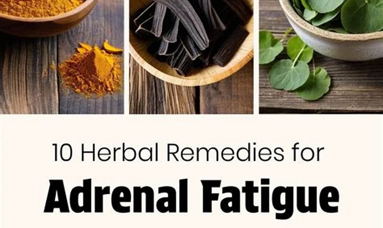 Natural Herbal Remedies for Fatigue: Boost Your Energy! The Ultimate Herbal Remedies Guide: Natural Healing for a Healthier Life Natural Herbal Remedies for Fatigue: Boost Your Energy! | The Ultimate Herbal Remedies Guide: Natural Healing for a Healthier Life
