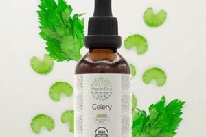 Unlocking Celery Herbal Power: Benefits & Uses | The Ultimate Herbal Remedies Guide: Natural Healing for a Healthier Life