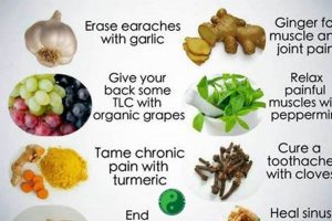 Best Herbal Pain Remedies: Natural Pain Relief Tips | The Ultimate Herbal Remedies Guide: Natural Healing for a Healthier Life