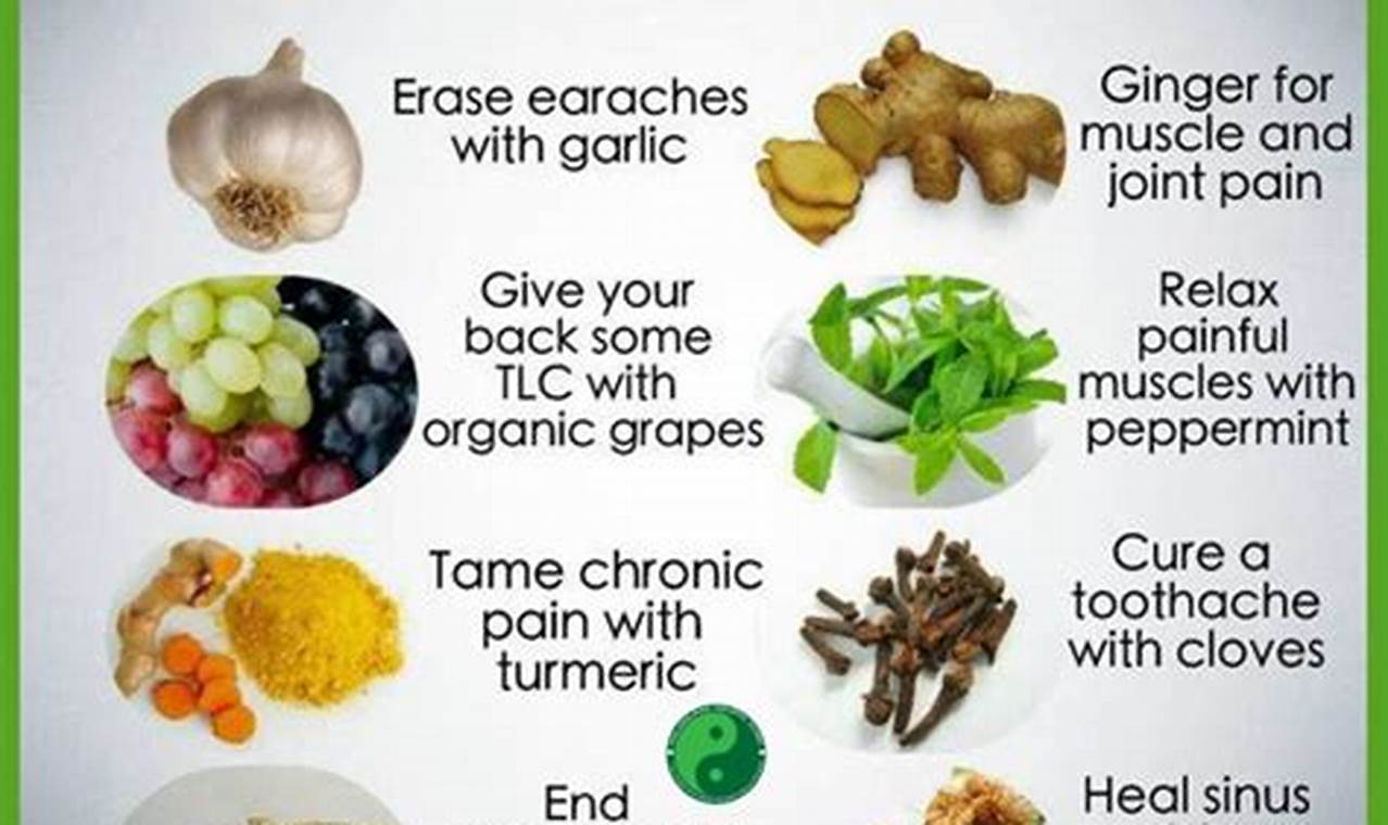 Best Herbal Pain Remedies: Natural Pain Relief Tips | The Ultimate Herbal Remedies Guide: Natural Healing for a Healthier Life