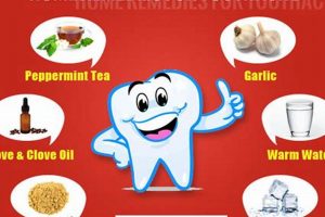 Quick Herbal Remedies for Tooth Pain Relief Now! | The Ultimate Herbal Remedies Guide: Natural Healing for a Healthier Life