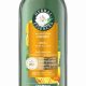 Discover Honey Shampoo Herbal Essence: Natural Shine Boost! | The Ultimate Herbal Remedies Guide: Natural Healing for a Healthier Life