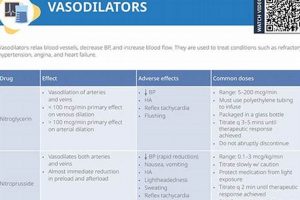 Boost Blood Flow: Herbal Vasodilators Guide | The Ultimate Herbal Remedies Guide: Natural Healing for a Healthier Life