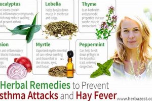 Natural Herbal Remedies for Fever Relief Guide | The Ultimate Herbal Remedies Guide: Natural Healing for a Healthier Life