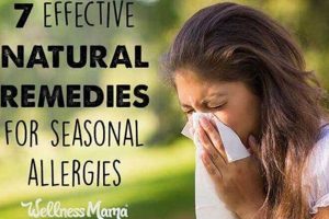 Best Herbal Allergy Remedies: Relief is Here! The Ultimate Herbal Remedies Guide: Natural Healing for a Healthier Life Best Herbal Allergy Remedies: Relief is Here! | The Ultimate Herbal Remedies Guide: Natural Healing for a Healthier Life