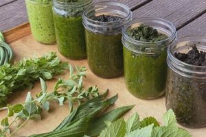 Explore Herbal Culture's Traditions & Remedies The Ultimate Herbal Remedies Guide: Natural Healing for a Healthier Life Explore Herbal Culture's Traditions & Remedies | The Ultimate Herbal Remedies Guide: Natural Healing for a Healthier Life