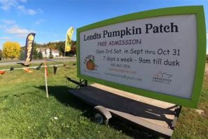 Your Guide to Herbals & the Pumpkin Patch in Hutchinson, MN The Ultimate Herbal Remedies Guide: Natural Healing for a Healthier Life Your Guide to Herbals & the Pumpkin Patch in Hutchinson, MN | The Ultimate Herbal Remedies Guide: Natural Healing for a Healthier Life