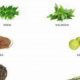 Natural Herbal Treatment for Gastritis: Relief &amp; Remedies | The Ultimate Herbal Remedies Guide: Natural Healing for a Healthier Life