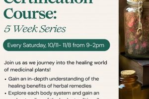 Get Your Herbal Certification Online: Benefits & Schools The Ultimate Herbal Remedies Guide: Natural Healing for a Healthier Life Get Your Herbal Certification Online: Benefits & Schools | The Ultimate Herbal Remedies Guide: Natural Healing for a Healthier Life
