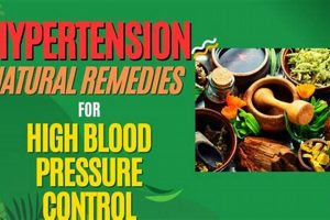 Natural Herbal Remedies for Hypertension: Effective Aid The Ultimate Herbal Remedies Guide: Natural Healing for a Healthier Life Natural Herbal Remedies for Hypertension: Effective Aid | The Ultimate Herbal Remedies Guide: Natural Healing for a Healthier Life