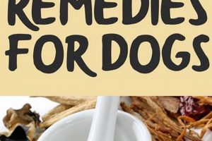 Natural Herbal Remedies for Dogs: Safe Guide The Ultimate Herbal Remedies Guide: Natural Healing for a Healthier Life Natural Herbal Remedies for Dogs: Safe Guide | The Ultimate Herbal Remedies Guide: Natural Healing for a Healthier Life