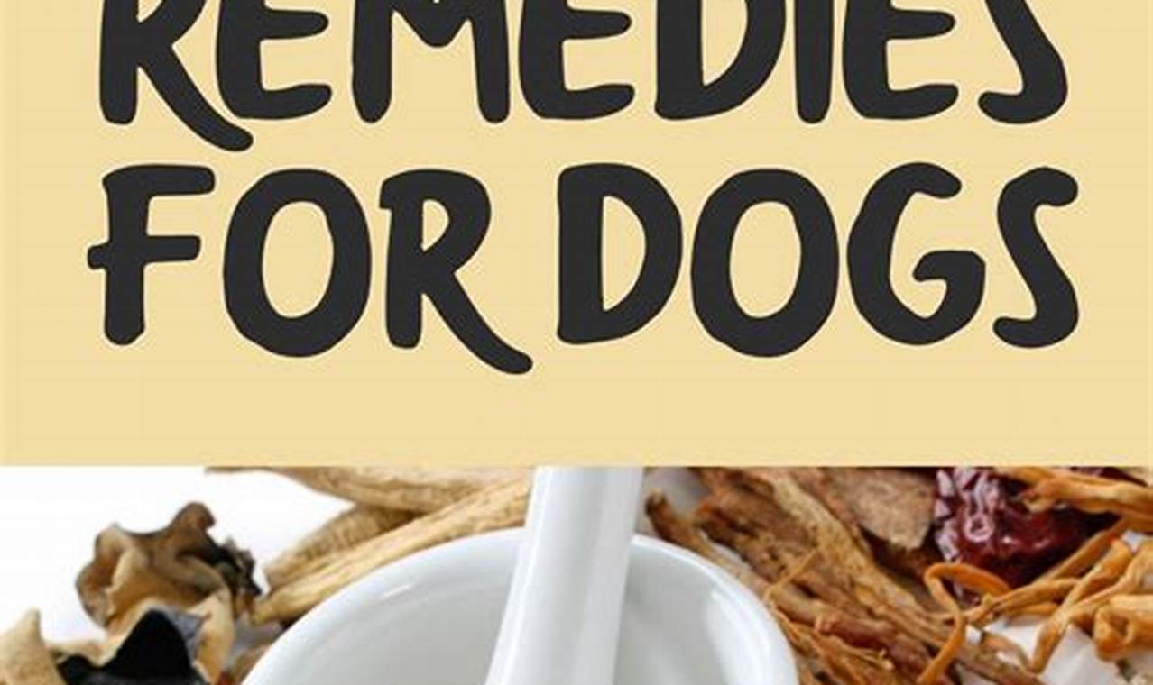 Natural Herbal Remedies for Dogs: Safe Guide The Ultimate Herbal Remedies Guide: Natural Healing for a Healthier Life Natural Herbal Remedies for Dogs: Safe Guide | The Ultimate Herbal Remedies Guide: Natural Healing for a Healthier Life