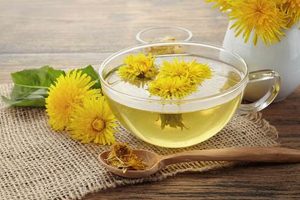 Dandelion Herbal: Benefits & Uses (Guide) | The Ultimate Herbal Remedies Guide: Natural Healing for a Healthier Life
