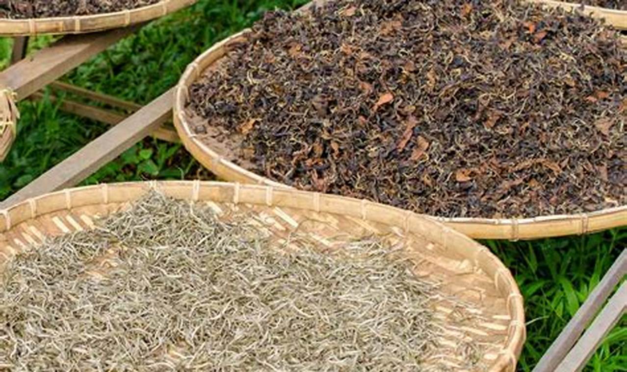 Buy Bulk Herbal Tea | Wholesale Herbal Tea Benefits The Ultimate Herbal Remedies Guide: Natural Healing for a Healthier Life Buy Bulk Herbal Tea | Wholesale Herbal Tea Benefits | The Ultimate Herbal Remedies Guide: Natural Healing for a Healthier Life