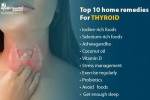 Natural Thyroid Gland Herbal Remedies: Relief & Support The Ultimate Herbal Remedies Guide: Natural Healing for a Healthier Life Natural Thyroid Gland Herbal Remedies: Relief & Support | The Ultimate Herbal Remedies Guide: Natural Healing for a Healthier Life