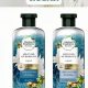 Best Syampu Herbal Essences: Hair Care &amp; More! | The Ultimate Herbal Remedies Guide: Natural Healing for a Healthier Life