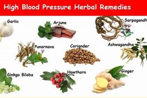 Natural Blood Pressure Herbal Medication Guide [Safe?] | The Ultimate Herbal Remedies Guide: Natural Healing for a Healthier Life