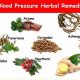 Natural Blood Pressure Herbal Medication Guide [Safe?] | The Ultimate Herbal Remedies Guide: Natural Healing for a Healthier Life
