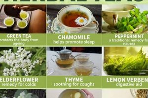 Tea Time: What Are Herbal Teas Good For? Benefits & Uses The Ultimate Herbal Remedies Guide: Natural Healing for a Healthier Life Tea Time: What Are Herbal Teas Good For? Benefits & Uses | The Ultimate Herbal Remedies Guide: Natural Healing for a Healthier Life