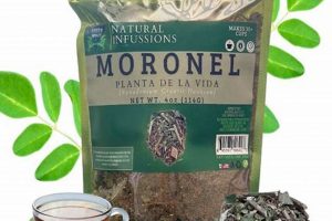 Discover Moronel Herbal Tea: Benefits & Brew The Ultimate Herbal Remedies Guide: Natural Healing for a Healthier Life Discover Moronel Herbal Tea: Benefits & Brew | The Ultimate Herbal Remedies Guide: Natural Healing for a Healthier Life