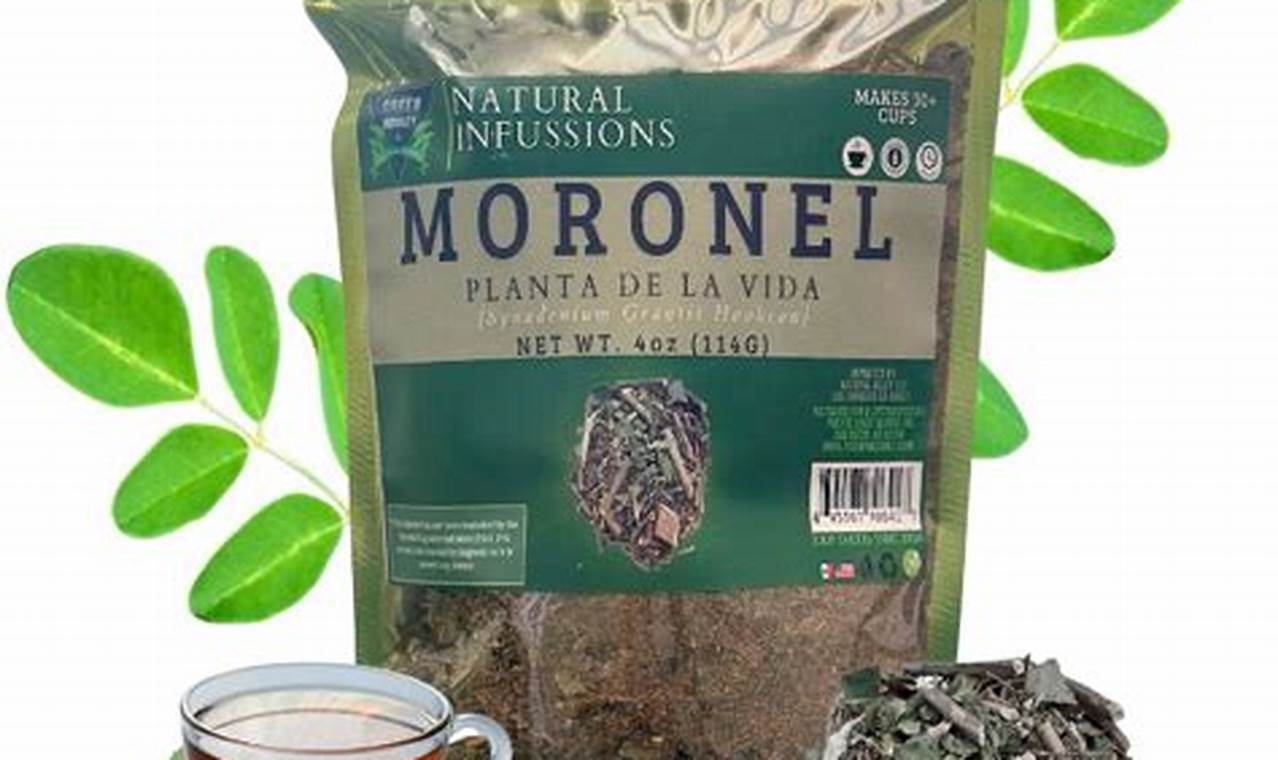 Discover Moronel Herbal Tea: Benefits & Brew The Ultimate Herbal Remedies Guide: Natural Healing for a Healthier Life Discover Moronel Herbal Tea: Benefits & Brew | The Ultimate Herbal Remedies Guide: Natural Healing for a Healthier Life