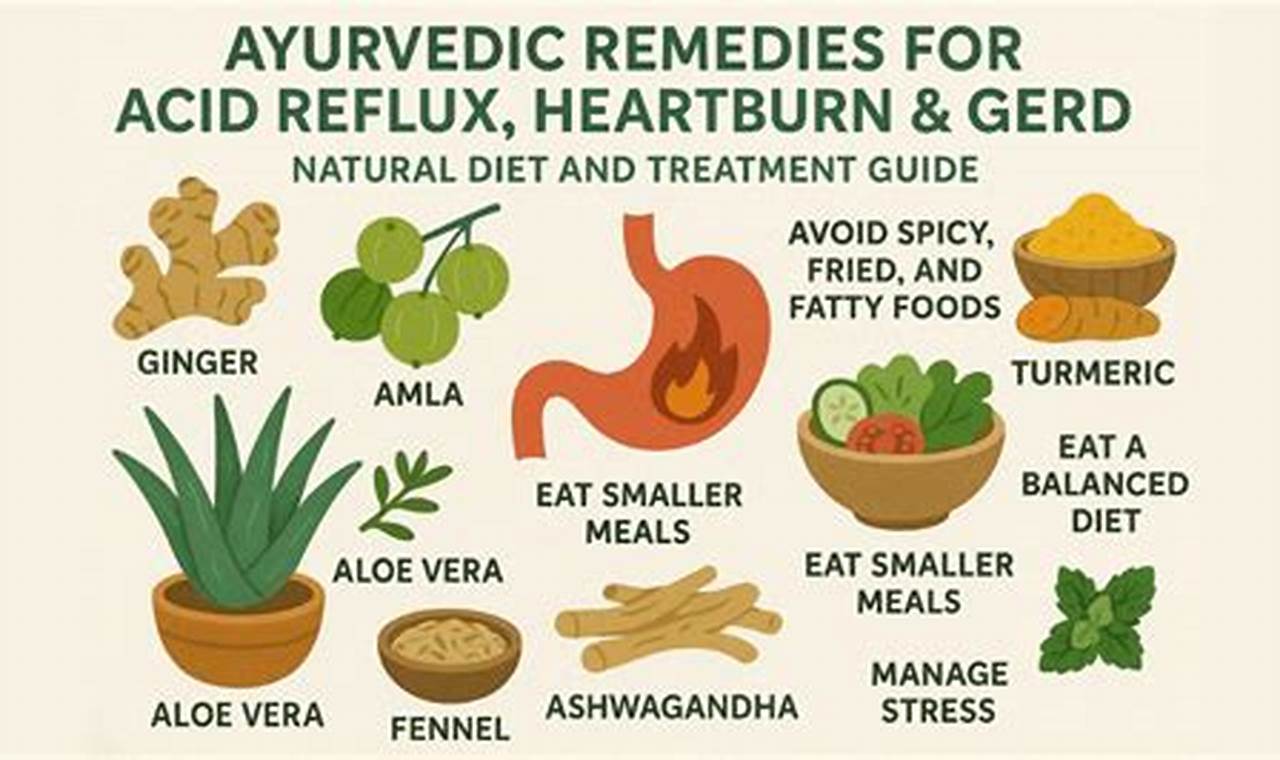 Natural Herbal Treatment for Acid Reflux: Relief Guide | The Ultimate Herbal Remedies Guide: Natural Healing for a Healthier Life