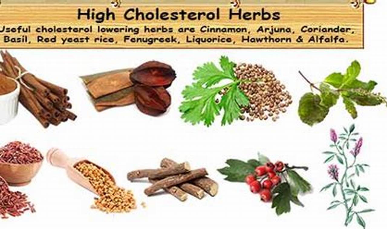 Natural Herbal Treatment for Cholesterol: Is it Effective? The Ultimate Herbal Remedies Guide: Natural Healing for a Healthier Life Natural Herbal Treatment for Cholesterol: Is it Effective? | The Ultimate Herbal Remedies Guide: Natural Healing for a Healthier Life