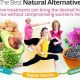 Natural Herbal HRT Replacement: Relief & Risks | The Ultimate Herbal Remedies Guide: Natural Healing for a Healthier Life