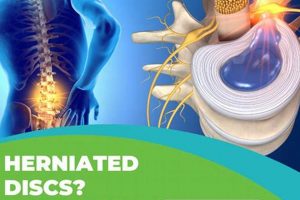 Natural Herbal Treatment for Herniated Disc Relief The Ultimate Herbal Remedies Guide: Natural Healing for a Healthier Life Natural Herbal Treatment for Herniated Disc Relief | The Ultimate Herbal Remedies Guide: Natural Healing for a Healthier Life