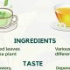 Tea Types: Is Green Tea Considered Herbal Tea? | The Ultimate Herbal Remedies Guide: Natural Healing for a Healthier Life